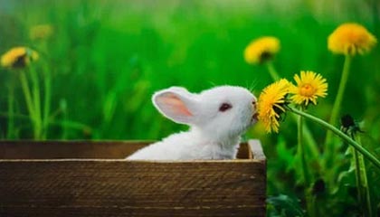 kaiyun 开云体育-【西甲】勒马尔中框苏牙制胜 马竞1-0赫塔费取3连胜